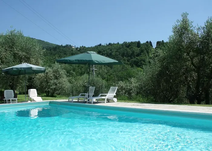 Montereggi